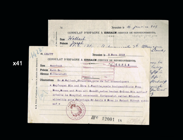Lot 41 - palestine - House of Zion Public Auction #109 Lot 41 - palestine - House of Zion Public Auction #109