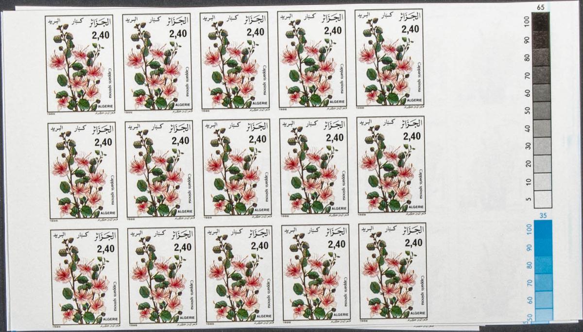 Lot 317 - Algeria Algeria -  IBERPHIL Auction #109. The Fournier Universe. Part 1