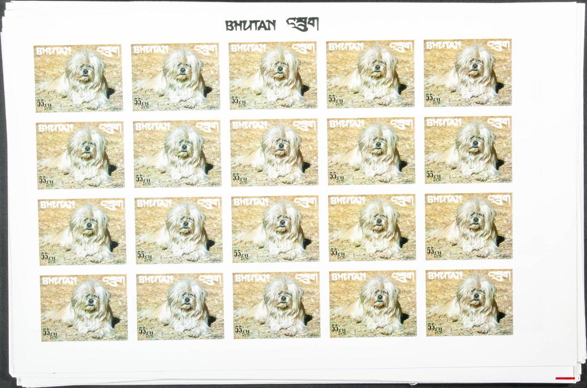 Lot 864 - bhutan bhutan -  IBERPHIL Auction #109. The Fournier Universe. Part 1