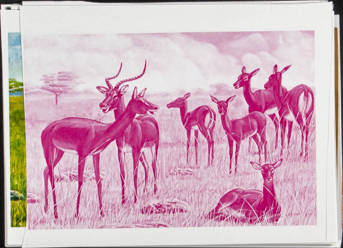 Lot 2633 - rwanda rwanda - IBERPHIL Auction #110. The Fournier Universe. Part 2 Lot 2633 - rwanda rwanda - IBERPHIL Auction #110. The Fournier Universe. Part 2