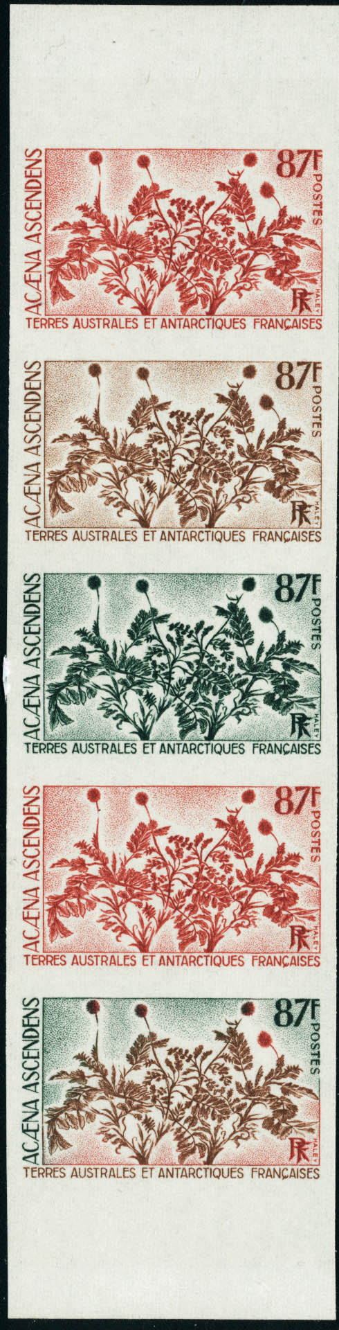 Lot 2801 - t.a.a.f. - Francois Feldman F.C.N.P François FELDMAN sale #124 Lot 2801 - t.a.a.f. - Francois Feldman F.C.N.P François FELDMAN sale #124