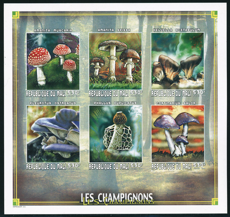 Lot 1924 - mali - Francois Feldman F.C.N.P François FELDMAN sale #127 Lot 1924 - mali - Francois Feldman F.C.N.P François FELDMAN sale #127