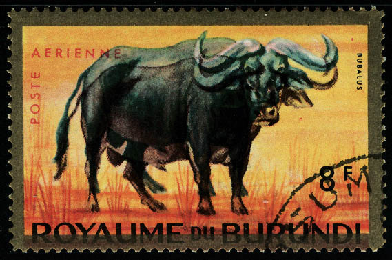 Lot 3170 - burundi poste aerienne - Francois Feldman F.C.N.P François FELDMAN sale #127 Lot 3170 - burundi poste aerienne - Francois Feldman F.C.N.P François FELDMAN sale #127