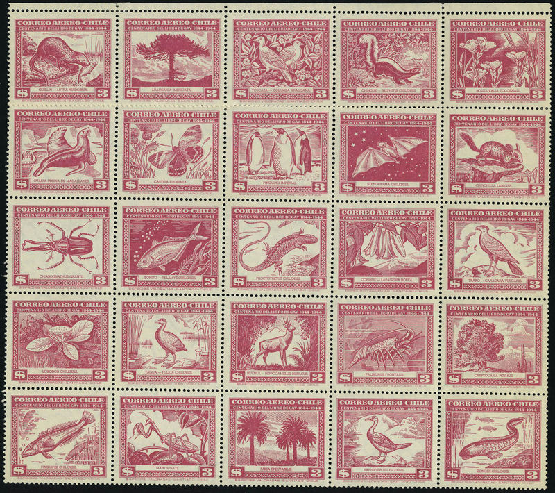 Lot 3178 - chili - Francois Feldman F.C.N.P François FELDMAN sale #127 Lot 3178 - chili - Francois Feldman F.C.N.P François FELDMAN sale #127