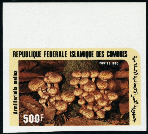 Lot 1824 - MONACO, FRENCH COLONIES A-Z INCLUDING RARITIES comores - Francois Feldman F.C.N.P François FELDMAN sale #128 Lot 1824 - MONACO, FRENCH COLONIES A-Z INCLUDING RARITIES comores - Francois Feldman F.C.N.P François FELDMAN sale #128